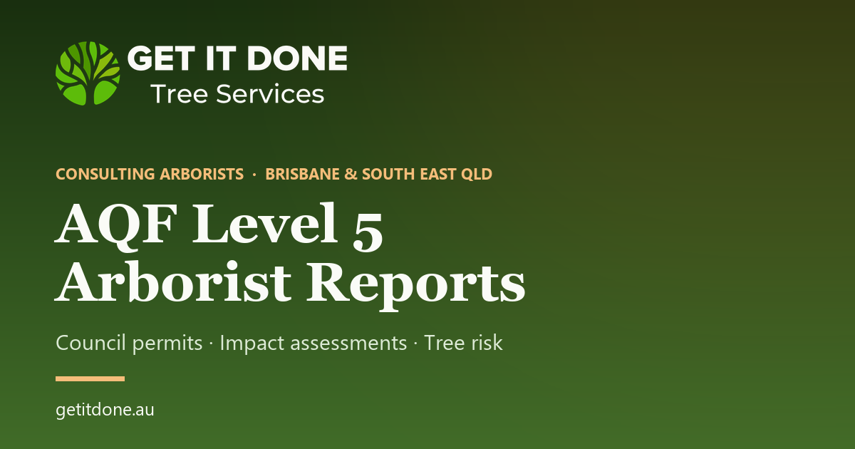 Consulting Arborist Brisbane | AQF Level 5 Arborist Reports